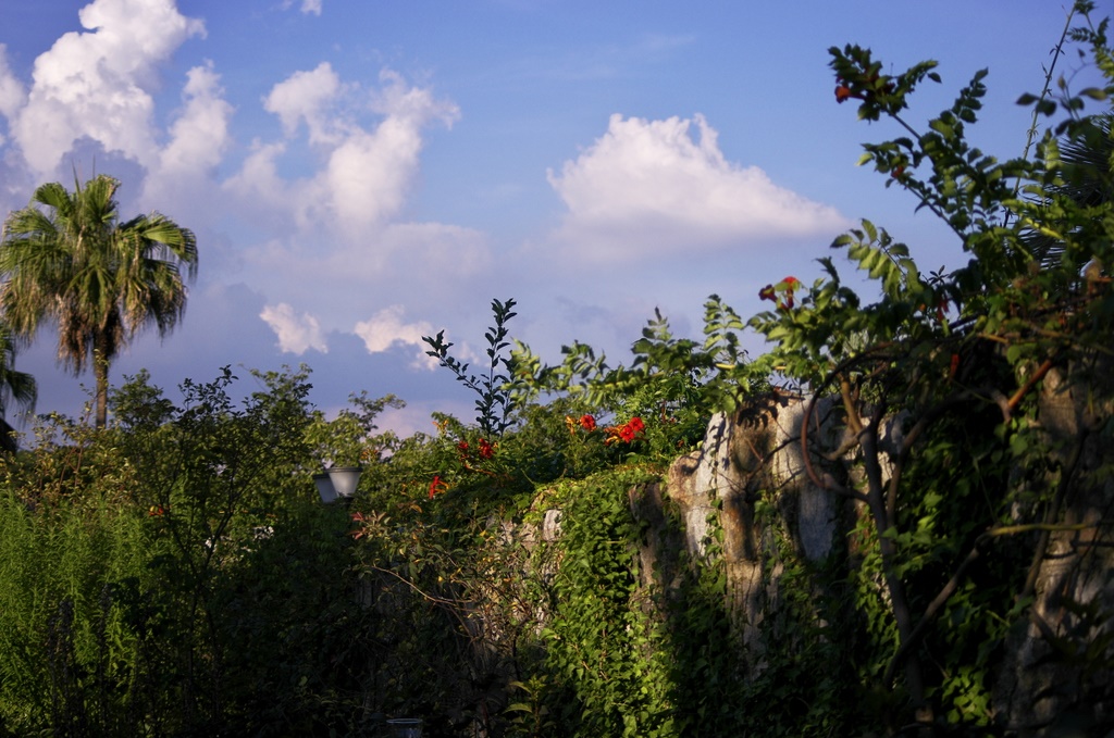 b0138101_23505519.jpg