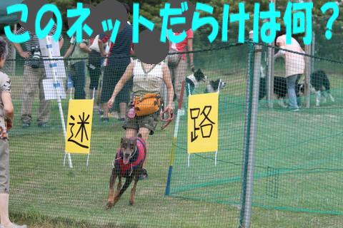 e0100007_13122795.jpg