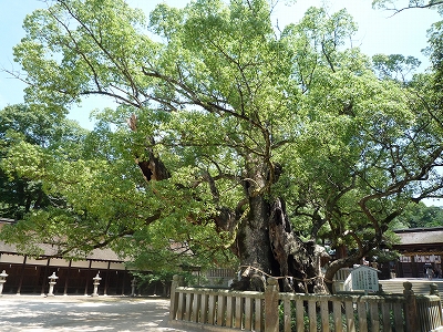 b0223711_13384466.jpg