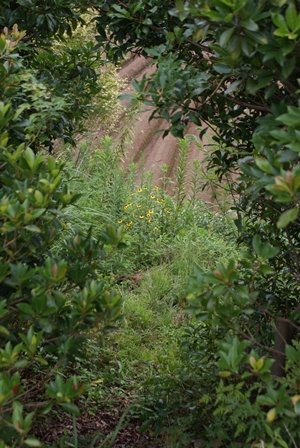 d0182913_2081335.jpg
