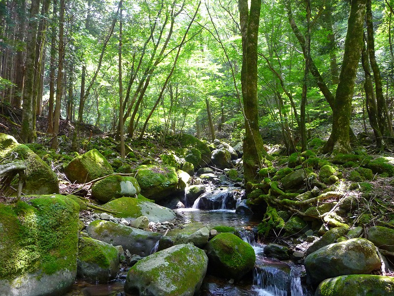 f0182513_022444.jpg