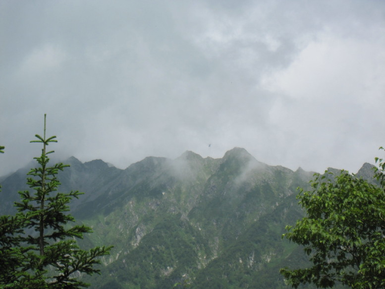 d0103314_1147125.jpg