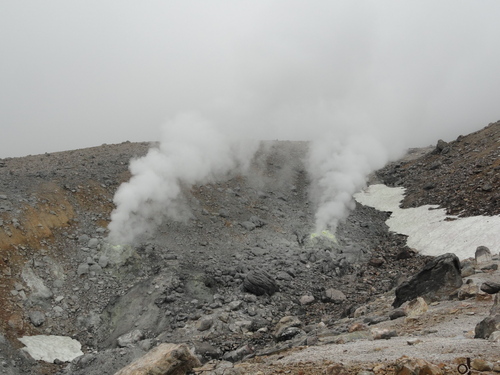 f0236314_111553.jpg