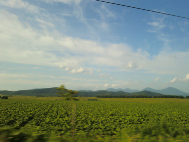 f0236314_111646.jpg