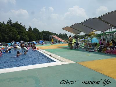 d0179417_2011344.jpg