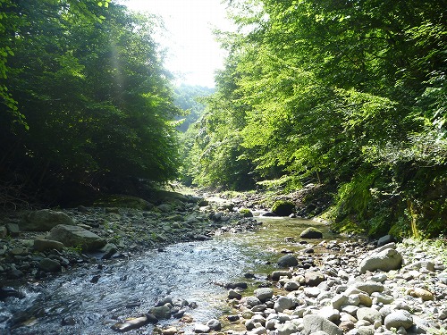 d0227723_21281944.jpg