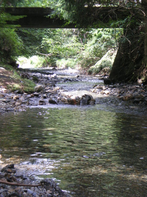 e0128024_1451655.jpg