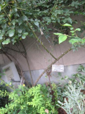 f0166824_21511425.jpg