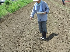 そばの種まきがありました。_e0061225_8565744.jpg