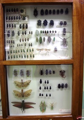f0177529_12424730.jpg