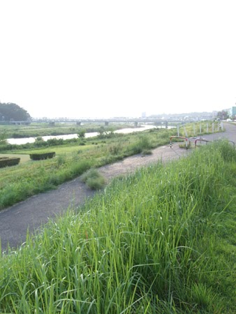f0093733_88481.jpg