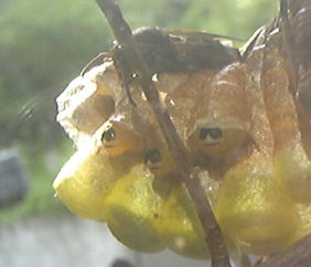 f0161535_16773.jpg