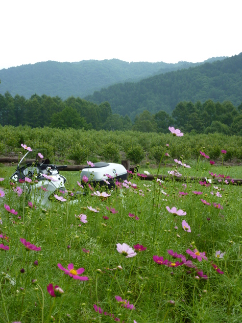 開田には、秋がきていますね＾＾_f0228539_2152115.jpg