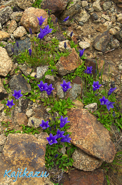 a0166940_23112558.jpg
