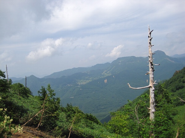 b0149340_830439.jpg