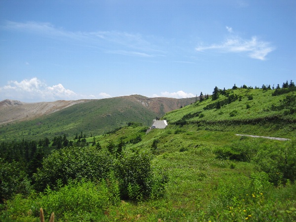 b0149340_8335058.jpg