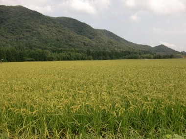 e0110940_21583275.jpg