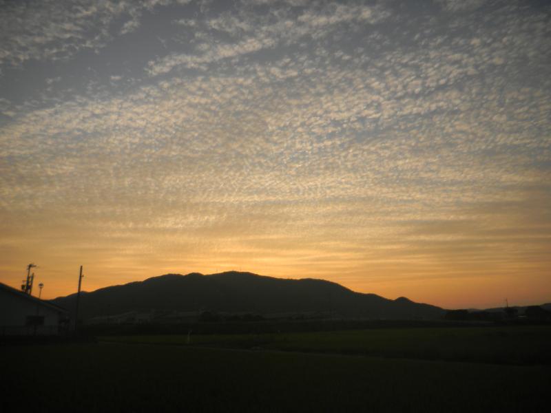 a0170146_22104915.jpg
