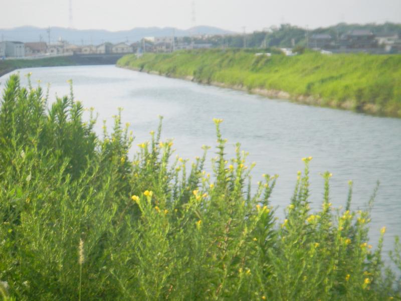 a0170146_2284070.jpg