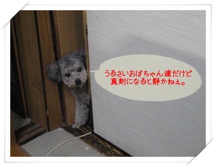 久しぶりに、長い日記です。_c0049950_1653812.jpg