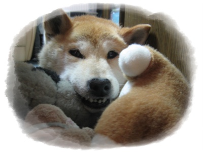 久しぶりに、長い日記です。_c0049950_21312051.jpg