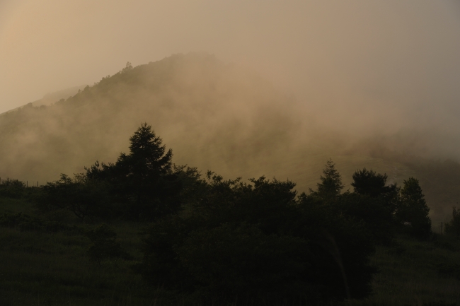 2011.07.22_ 車山　３_d0187359_12391333.jpg