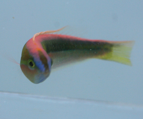 a0162261_21252897.jpg