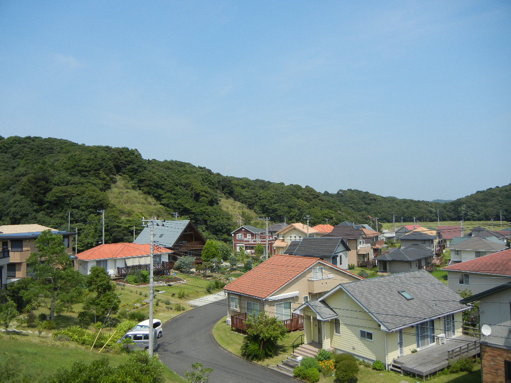 2011年8月17日(水)お外に出たいニャン!_f0060461_13452640.jpg