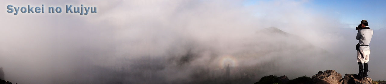 f0173067_15352652.jpg