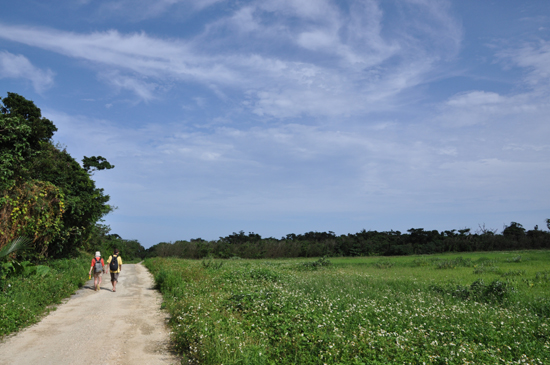夏休み気分を味わえる写真_e0171573_14354100.jpg