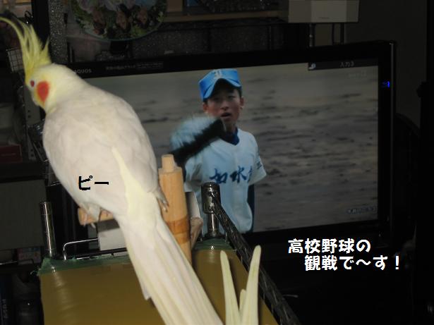 e0027078_1227610.jpg
