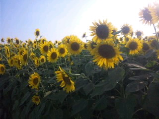f0057478_21552538.jpg
