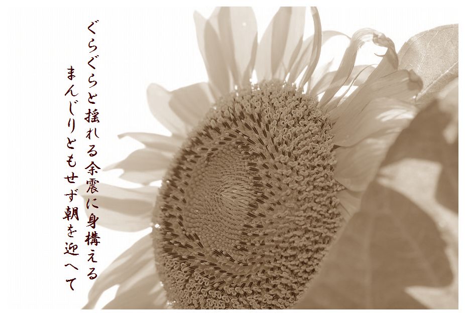 c0187781_9193037.jpg
