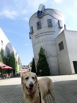 e0222588_145058.jpg