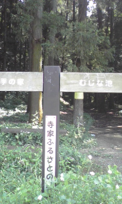 e0054290_23161067.jpg
