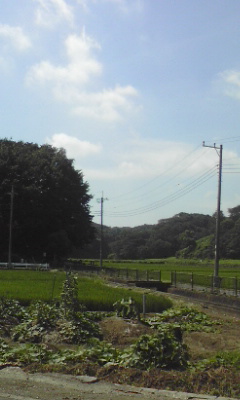e0054290_23161097.jpg