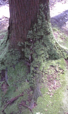 e0054290_23161155.jpg