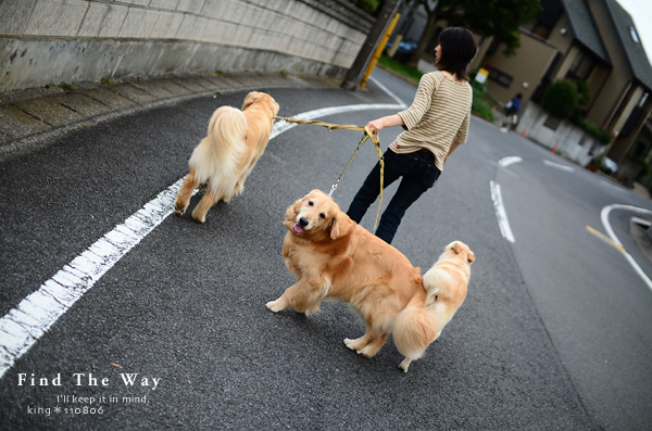 【wanこ】散歩道 〜 ルイちゃん＆レンちゃん_f0054594_19104112.jpg
