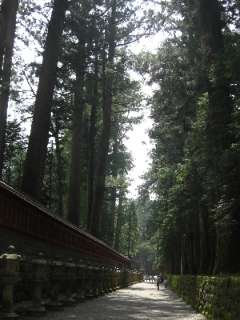 【夏休み旅行】日光、中禅寺湖、川俣温泉、鬼怒川_c0027298_18261027.jpg