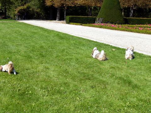c0090198_4212060.jpg