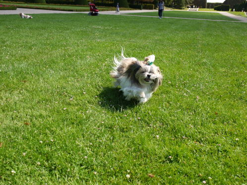 c0090198_4221259.jpg