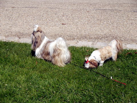 c0090198_42243100.jpg