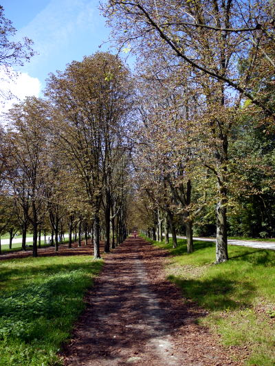 c0090198_4425324.jpg
