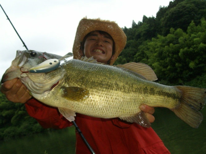 釣果報告 ~東北の住民さんより_d0145899_13432457.jpg