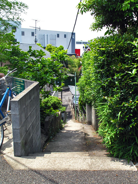 東宝スタジオ脇のスリバチから流れ出す、仙川支流の暗渠。_c0163001_23343799.jpg