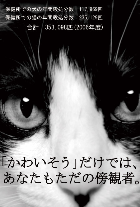 5年に一度の動物愛護法改正_e0163202_8472818.jpg