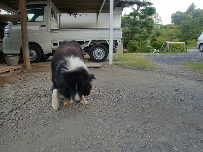 f0193702_21278.jpg
