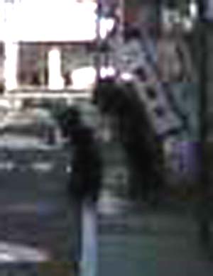 e0103408_7242814.jpg