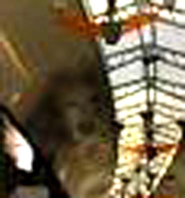 e0103408_7263138.jpg