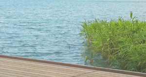 c0082109_837145.jpg